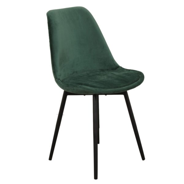 PP-Stol Bergs - Bild 2