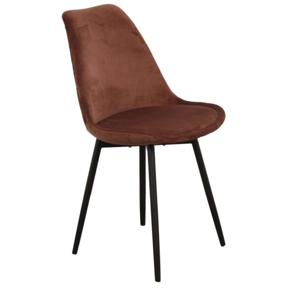 PP-Stol Bergs - Bild 5